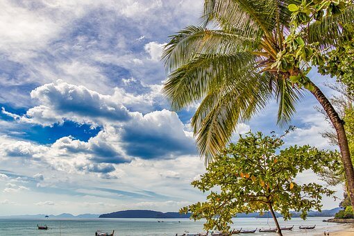 Tailandia, Palmeras, Cielo, Paisaje